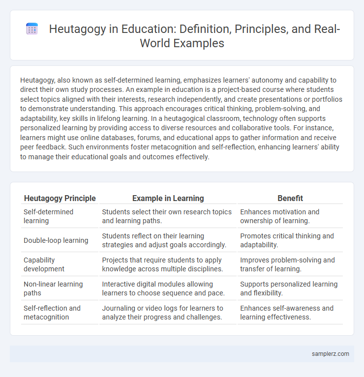 Heutagogy in Education: Definition, Principles, and Real-World Examples