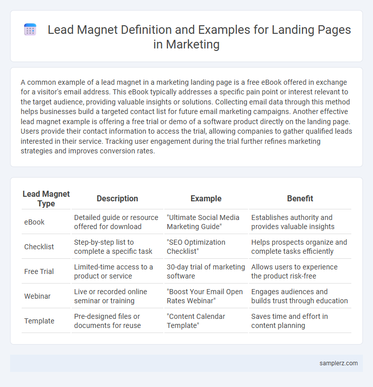 Lead Magnet Definition and Examples for Landing Pages in Marketing