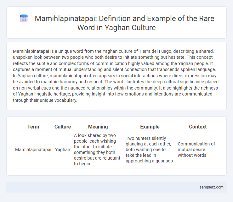 Mamihlapinatapai: Definition and Example of the Rare Word in Yaghan Culture