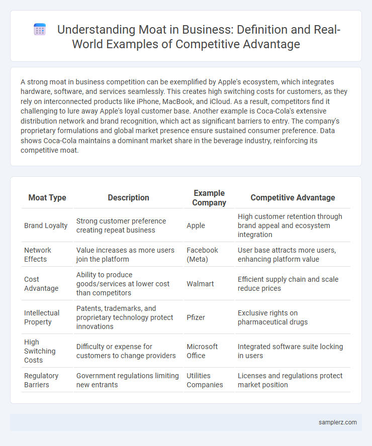 Understanding Moat in Business: Definition and Real-World Examples of Competitive Advantage
