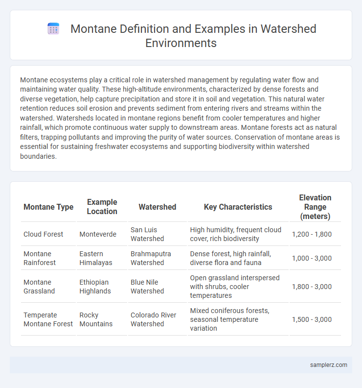 Montane Definition and Examples in Watershed Environments