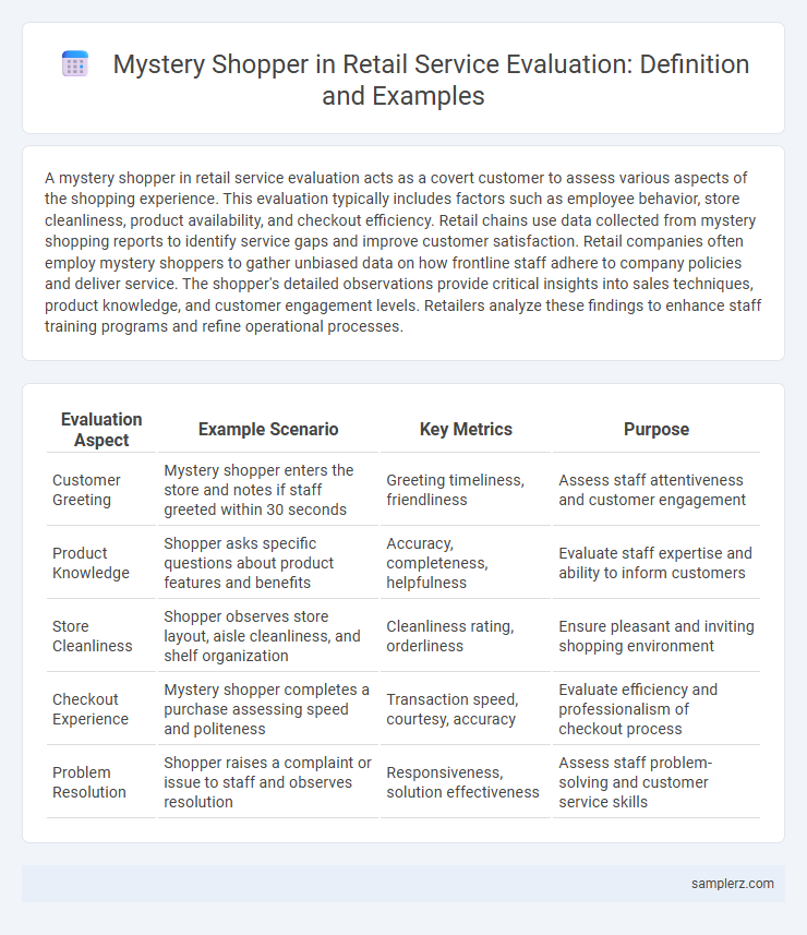 Mystery Shopper in Retail Service Evaluation: Definition and Examples
