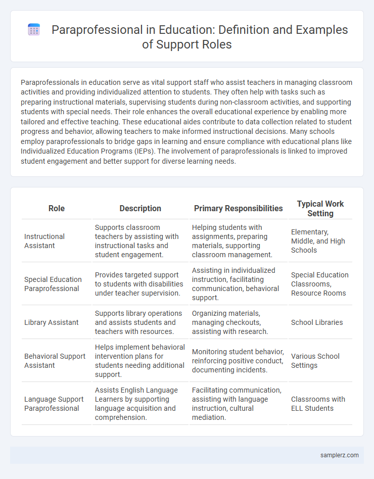 Paraprofessional in Education: Definition and Examples of Support Roles