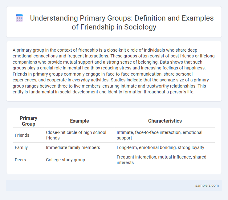 Understanding Primary Groups: Definition and Examples of Friendship in Sociology