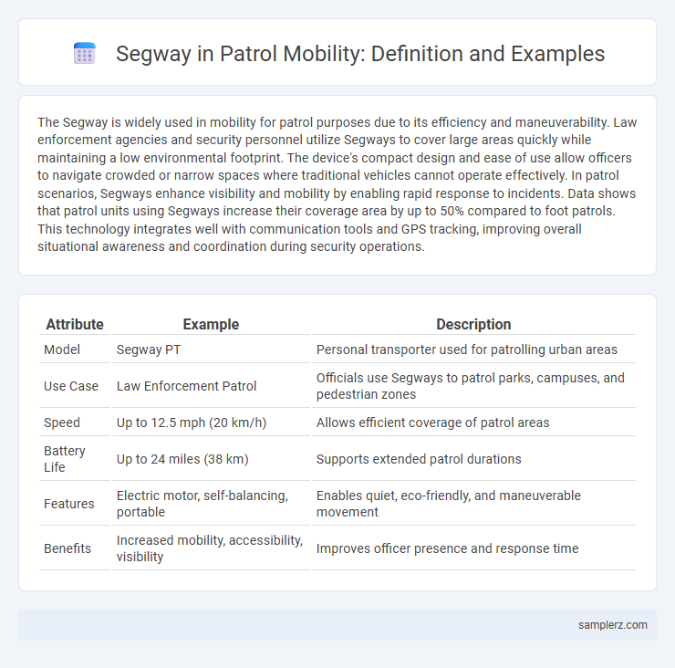 Segway in Patrol Mobility: Definition and Examples