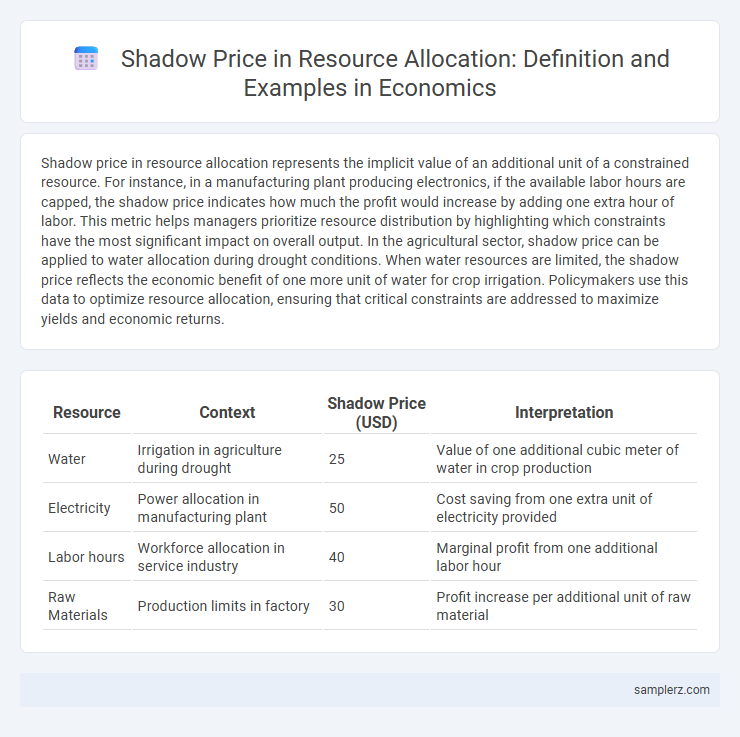 Shadow Price in Resource Allocation: Definition and Examples in Economics