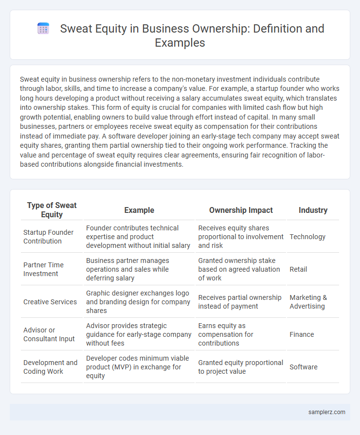 Sweat Equity in Business Ownership: Definition and Examples