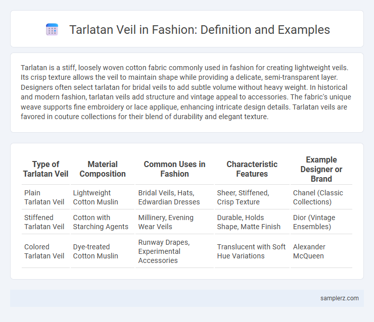 Tarlatan Veil in Fashion: Definition and Examples