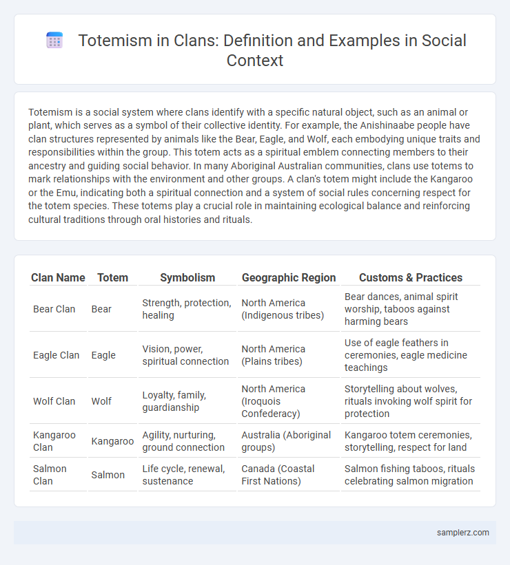 Totemism in Clans: Definition and Examples in Social Context