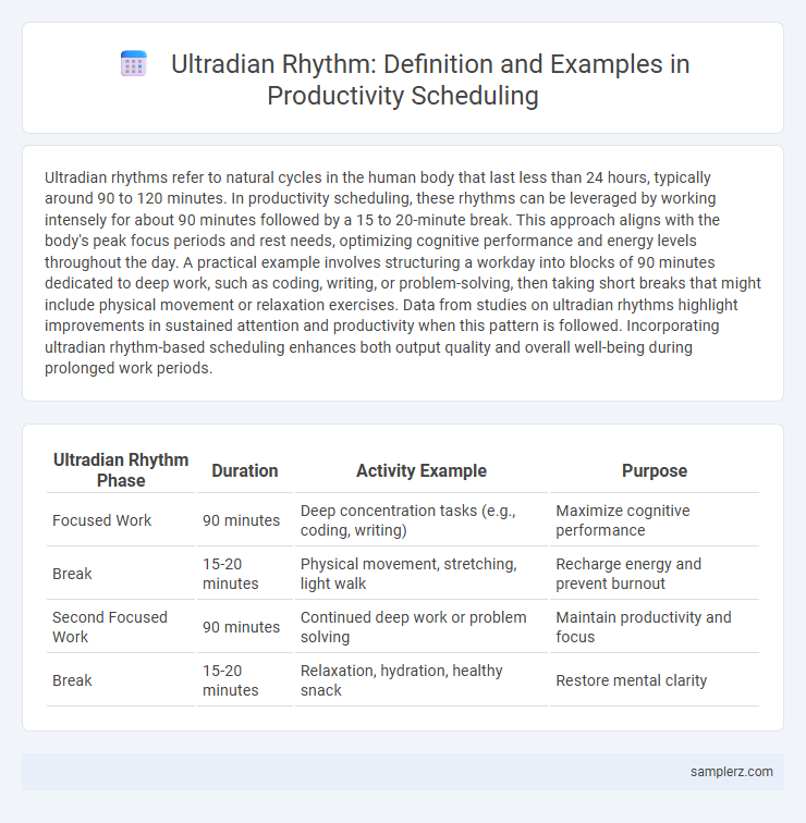 Ultradian Rhythm: Definition and Examples in Productivity Scheduling