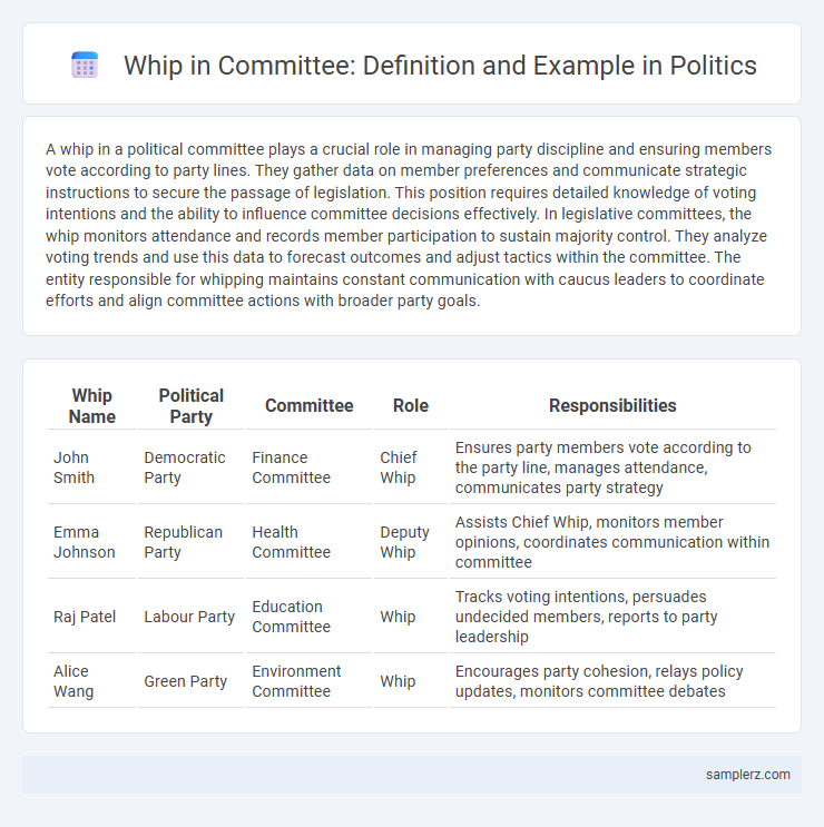 Whip in Committee: Definition and Example in Politics