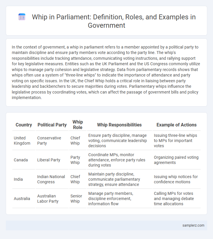 Whip in Parliament: Definition, Roles, and Examples in Government