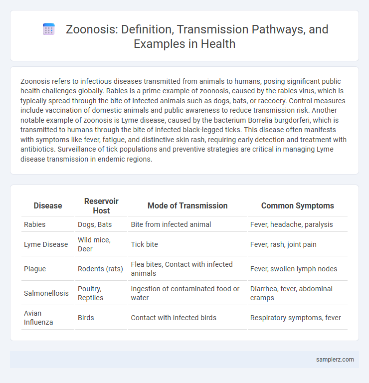 Zoonosis: Definition, Transmission Pathways, and Examples in Health