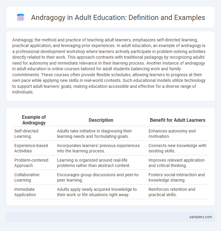 Andragogy in Adult Education: Definition and Examples
