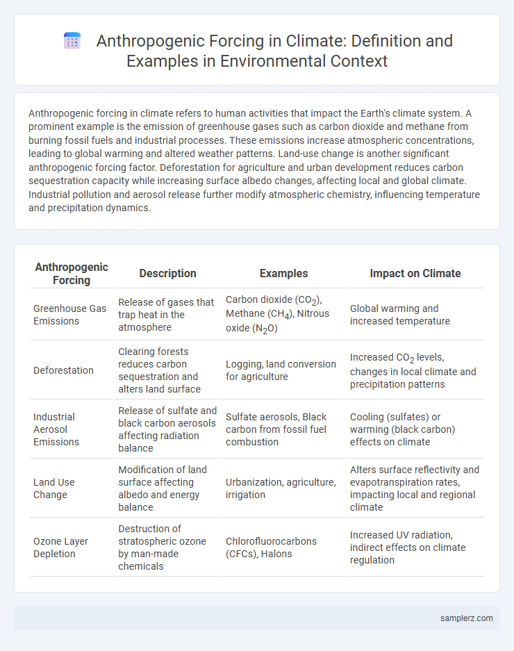 Anthropogenic Forcing in Climate: Definition and Examples in Environmental Context