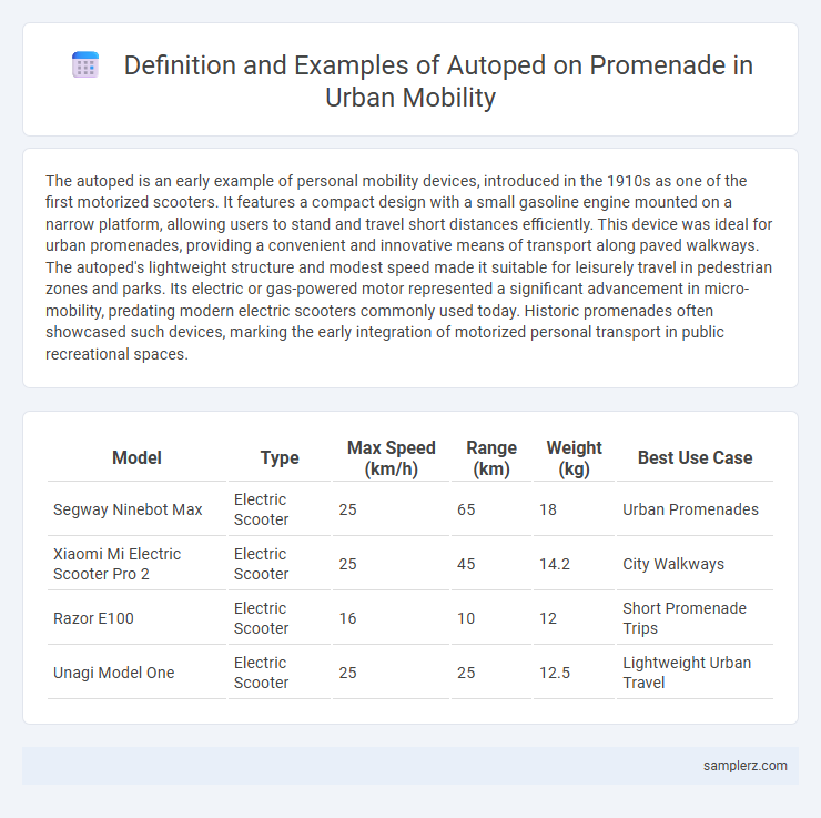 Definition and Examples of Autoped on Promenade in Urban Mobility