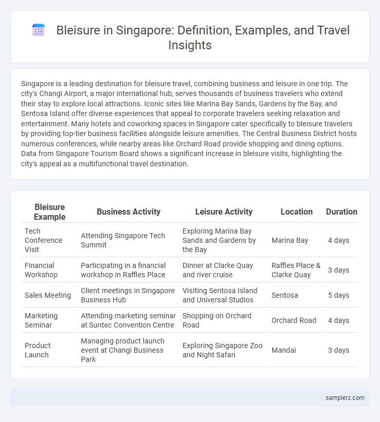 Bleisure in Singapore: Definition, Examples, and Travel Insights