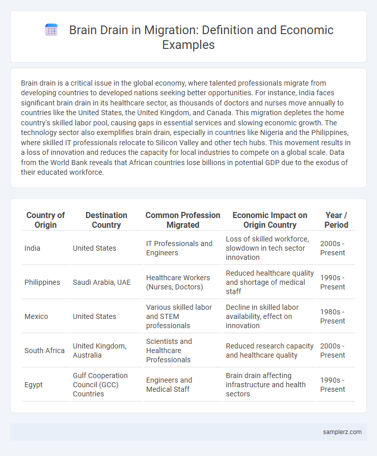 Brain Drain in Migration: Definition and Economic Examples