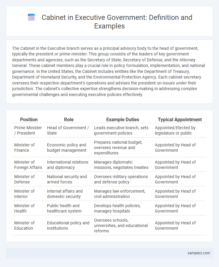 Cabinet in Executive Government: Definition and Examples