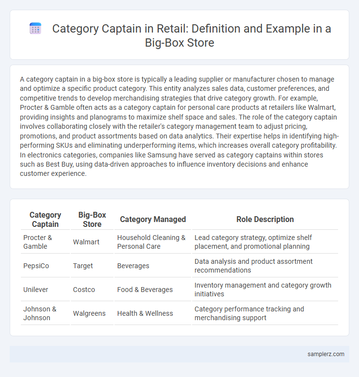 Category Captain in Retail: Definition and Example in a Big-Box Store