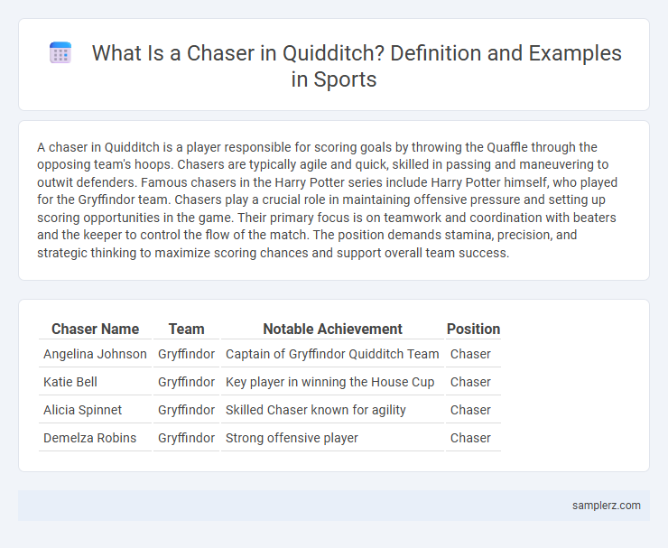 What Is a Chaser in Quidditch? Definition and Examples in Sports