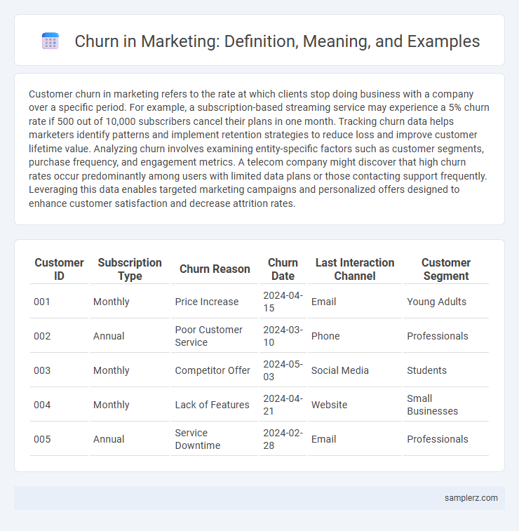 Churn in Marketing: Definition, Meaning, and Examples