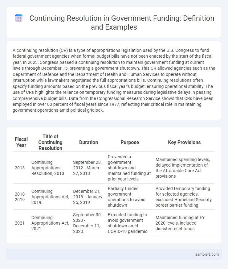 Continuing Resolution in Government Funding: Definition and Examples