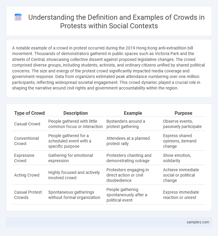 Understanding the Definition and Examples of Crowds in Protests within Social Contexts