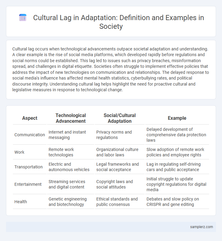Cultural Lag in Adaptation: Definition and Examples in Society