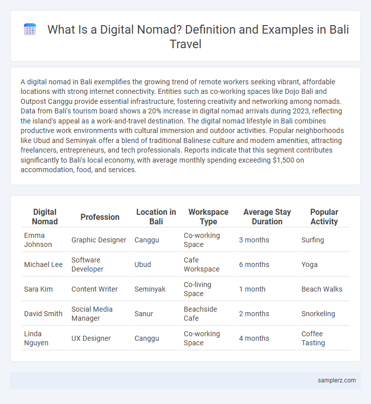 What Is a Digital Nomad? Definition and Examples in Bali Travel