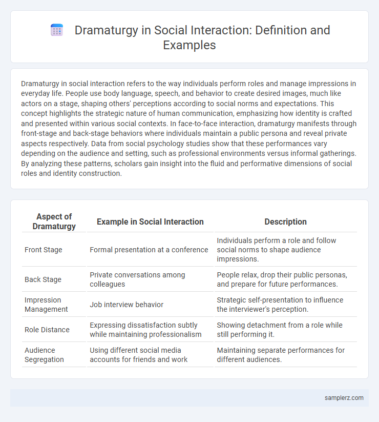 Dramaturgy in Social Interaction: Definition and Examples