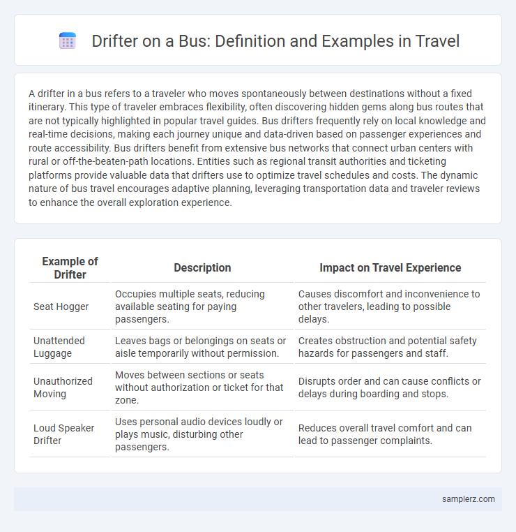Drifter on a Bus: Definition and Examples in Travel