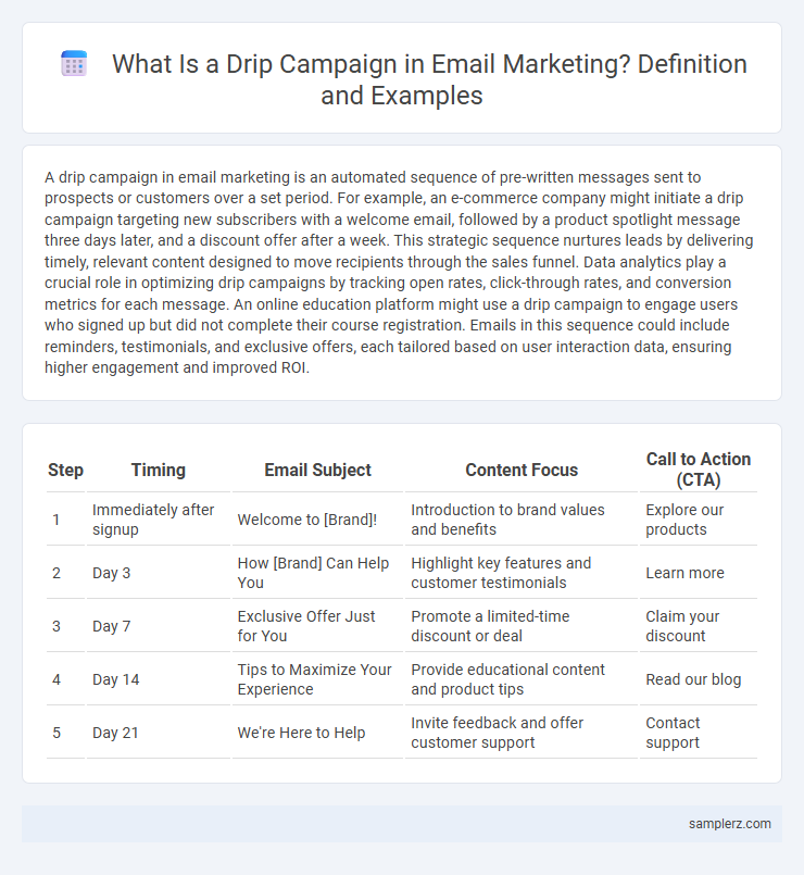 What Is a Drip Campaign in Email Marketing? Definition and Examples