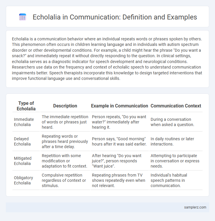 Echolalia in Communication: Definition and Examples