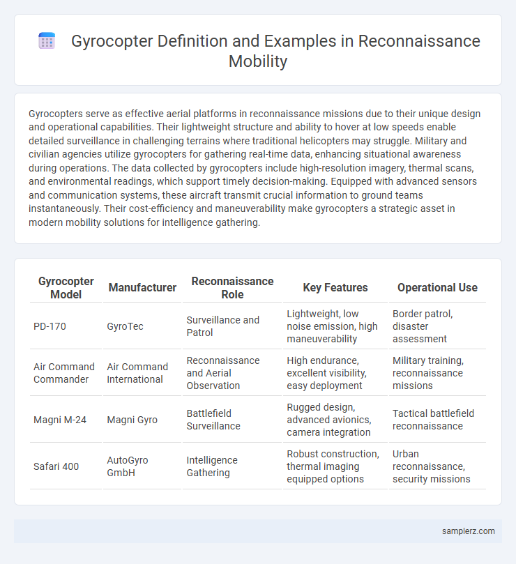 Gyrocopter Definition and Examples in Reconnaissance Mobility