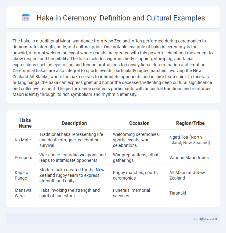 Haka in Ceremony: Definition and Cultural Examples