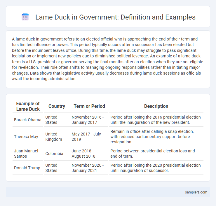 Lame Duck in Government: Definition and Examples