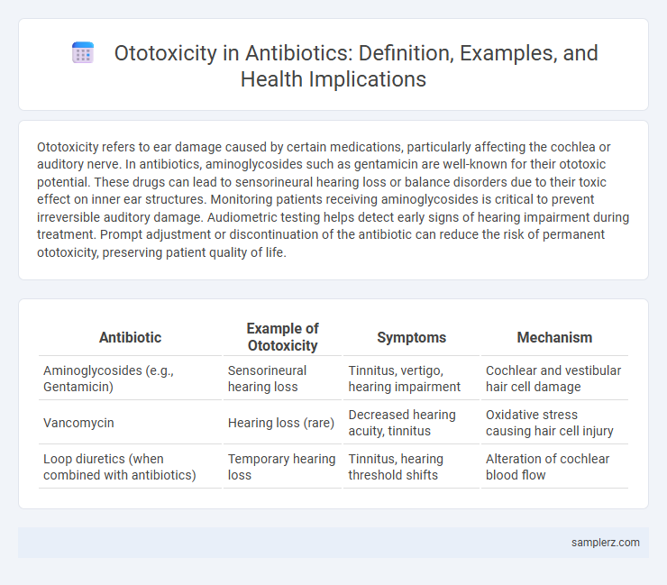 Ototoxicity in Antibiotics: Definition, Examples, and Health Implications