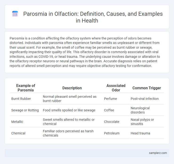 Parosmia in Olfaction: Definition, Causes, and Examples in Health