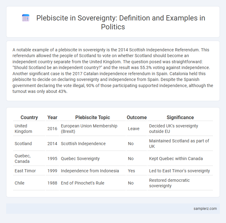 Plebiscite in Sovereignty: Definition and Examples in Politics