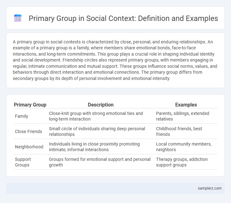 Primary Group in Social Context: Definition and Examples