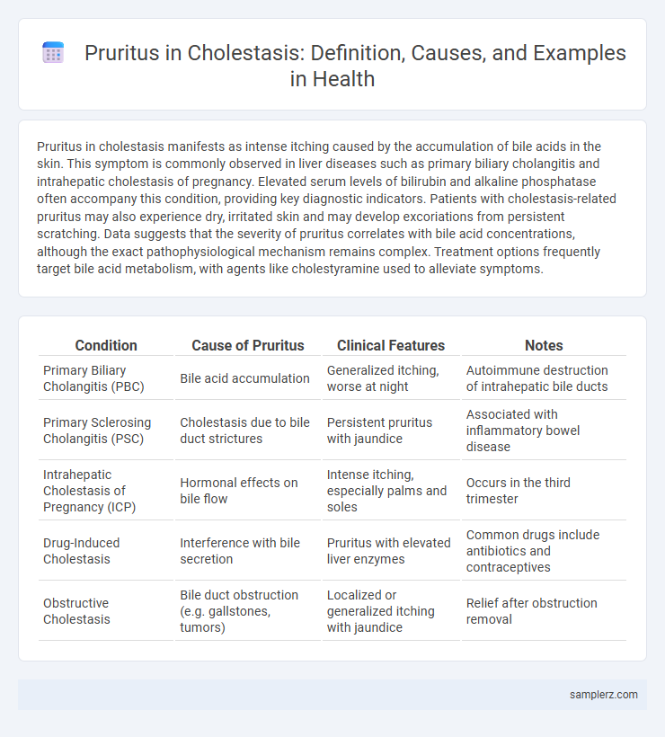 Pruritus in Cholestasis: Definition, Causes, and Examples in Health