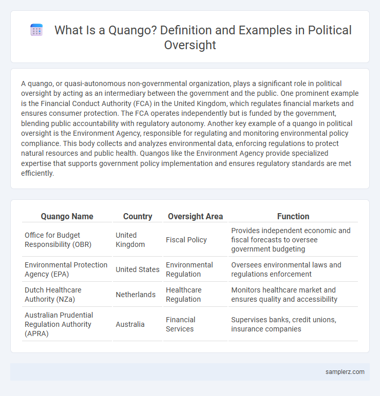 What Is a Quango? Definition and Examples in Political Oversight