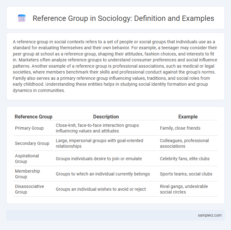 Reference Group in Sociology: Definition and Examples