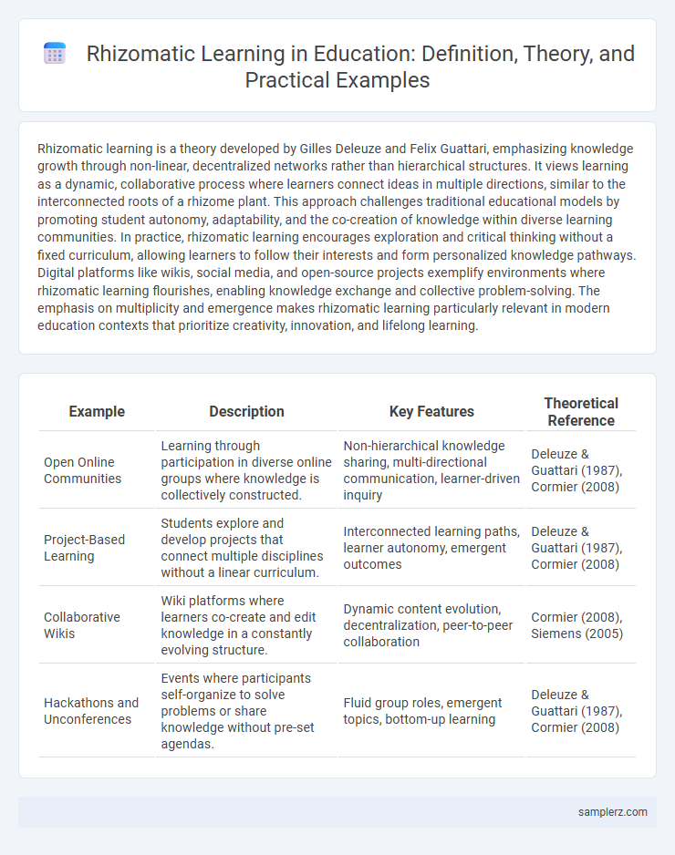 Rhizomatic Learning in Education: Definition, Theory, and Practical Examples