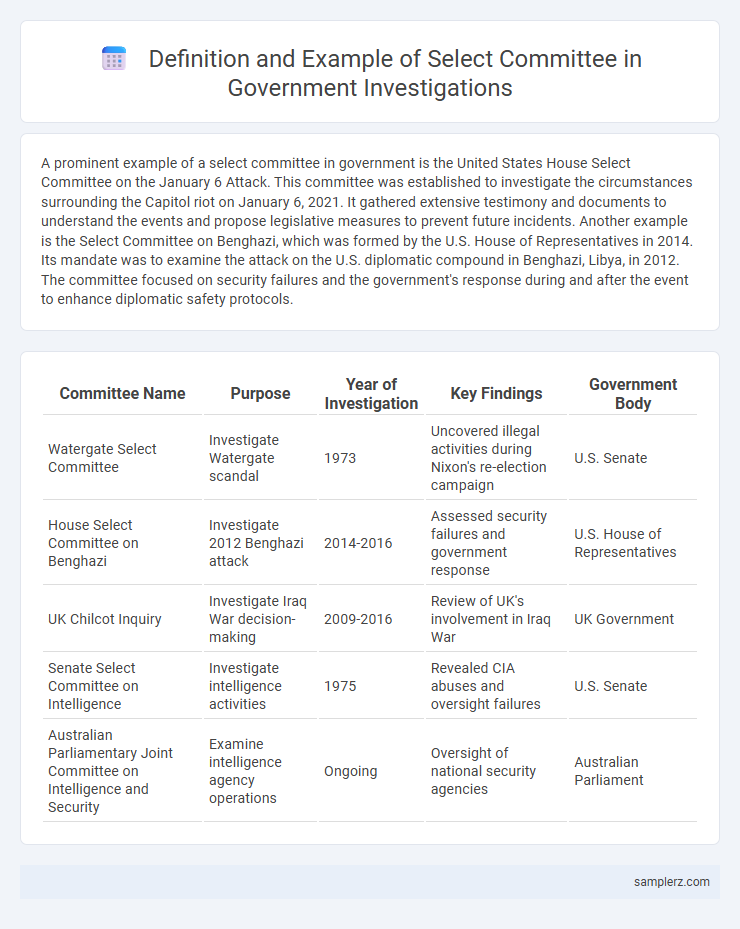 Definition and Example of Select Committee in Government Investigations