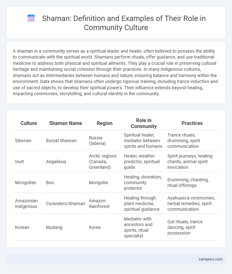 Shaman: Definition and Examples of Their Role in Community Culture