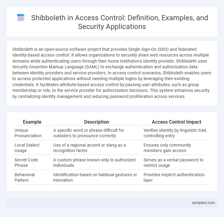 Shibboleth in Access Control: Definition, Examples, and Security Applications