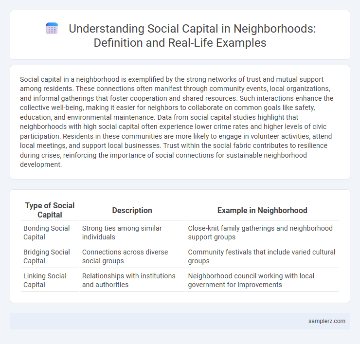 Understanding Social Capital in Neighborhoods: Definition and Real-Life Examples