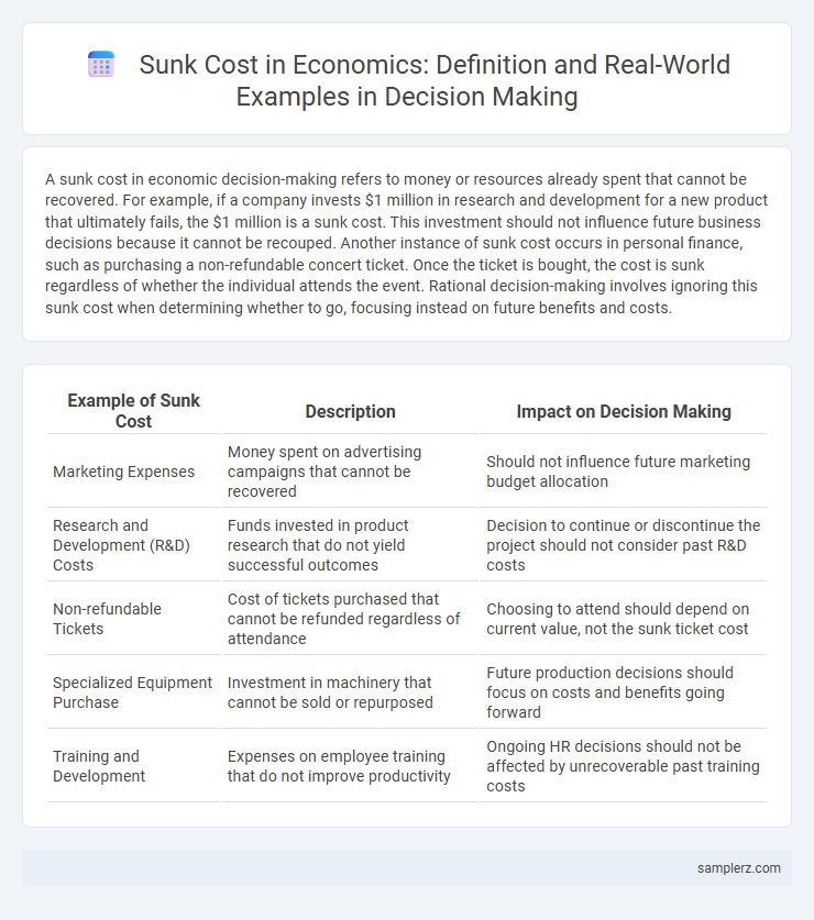 Sunk Cost in Economics: Definition and Real-World Examples in Decision Making